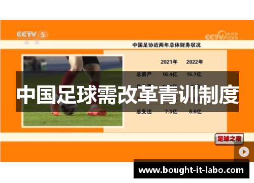 中国足球需改革青训制度